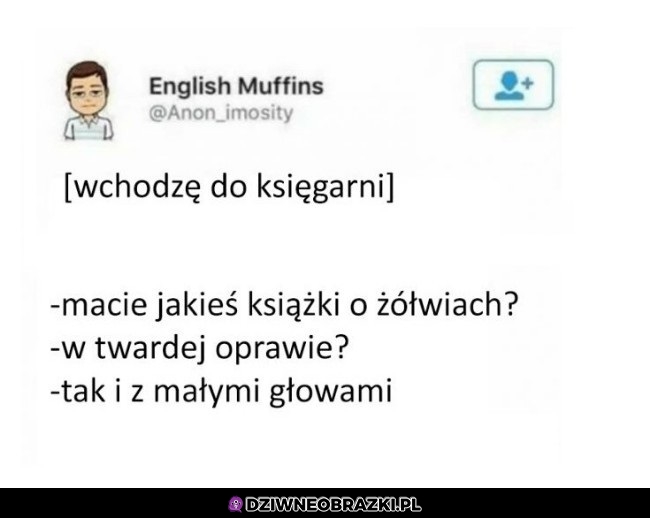 Ksiazka
