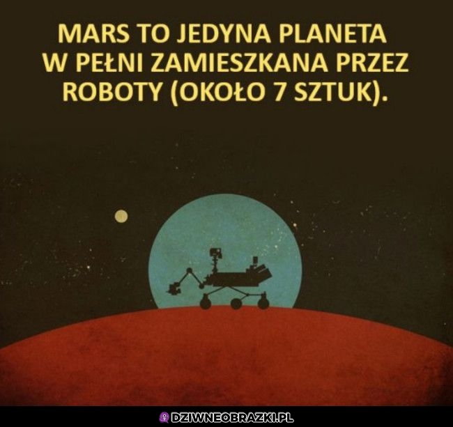 Planeta robotów