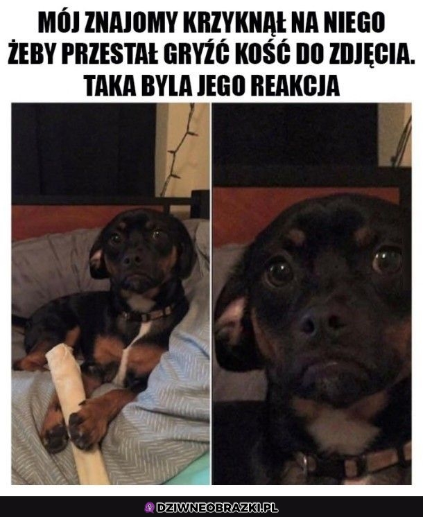 Ale jak to