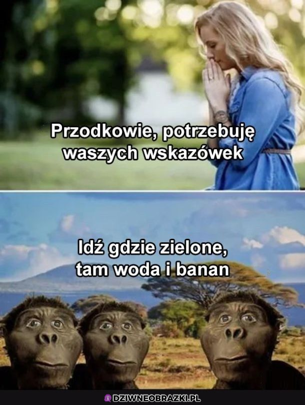 Kiedy szukasz rad u przodków