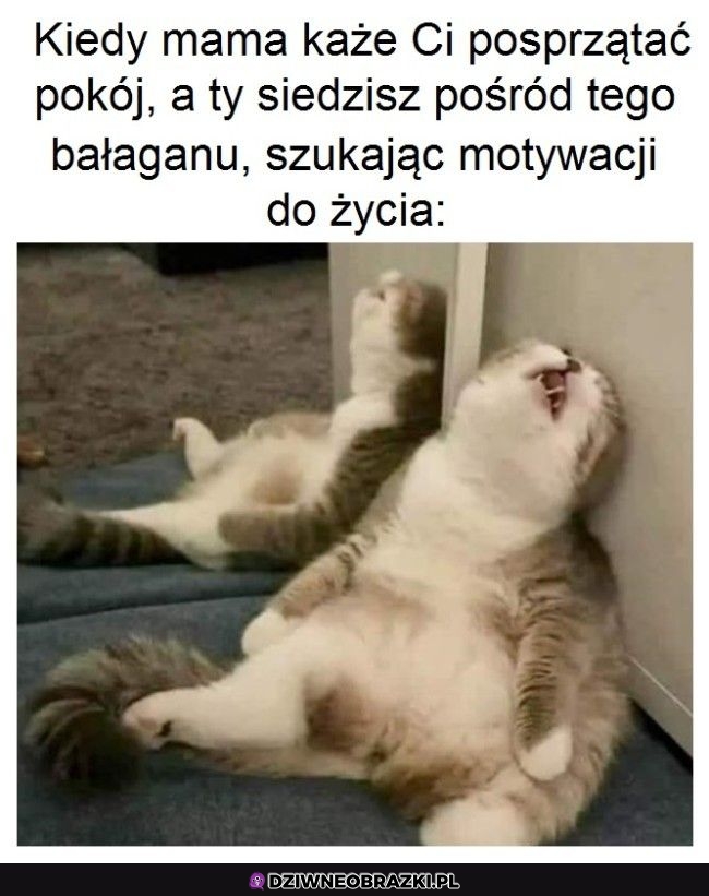 Ten moment