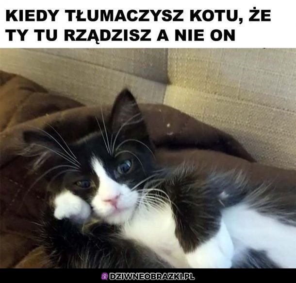 Ten moment Ten moment