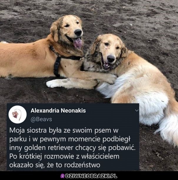 Świat jest mały
