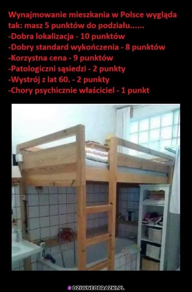 Wynajmowanie mieszkania