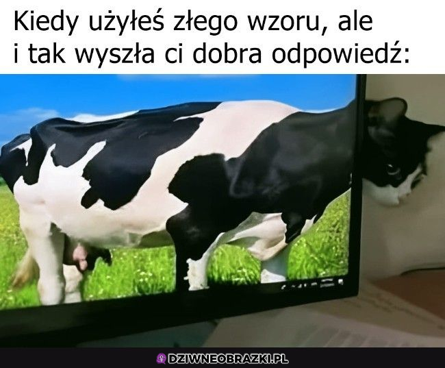 W sumie wygląda git ;P