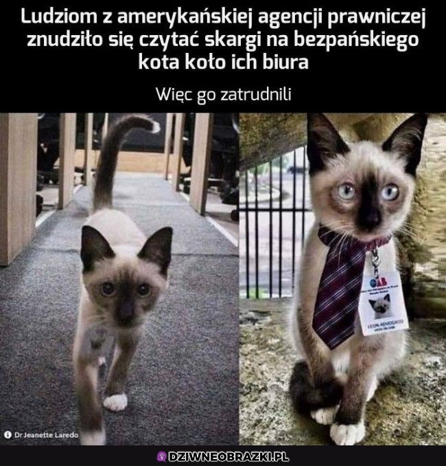 Tak trzeba żyć