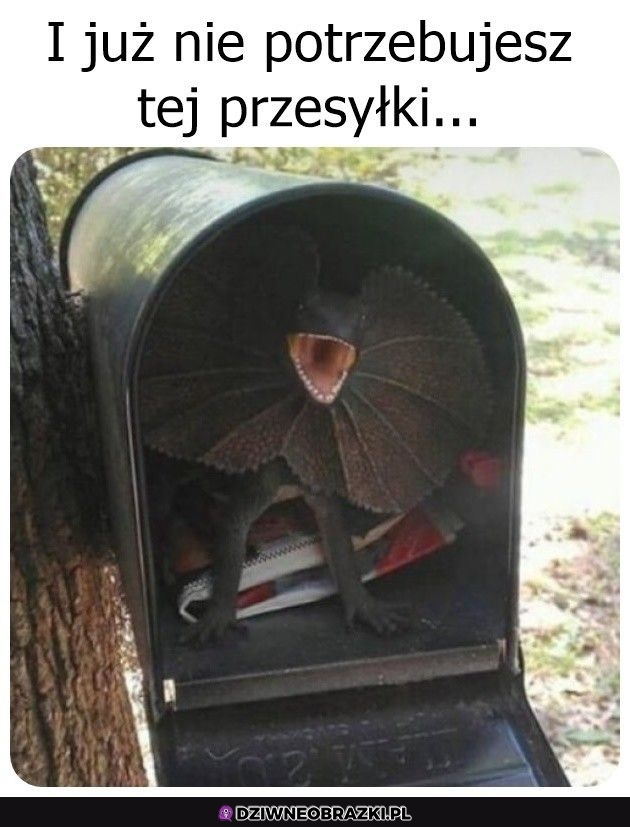 To ja jednak podziękuję