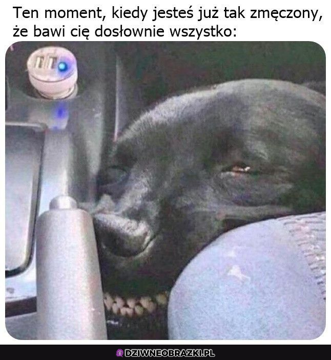 Wtedy już nie ma odwrotu 