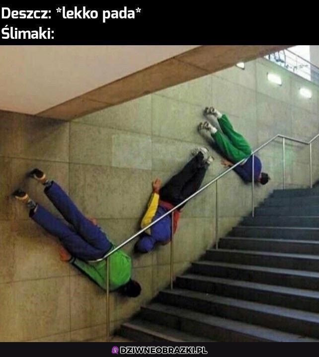 Zawsze to robią Zawsze to robią