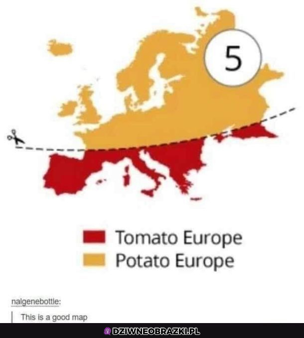 Tak to wygląda