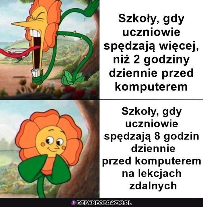 Oj tam oj tam