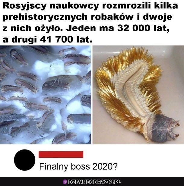 Mogli z tym zaczekać do przyszłego roku