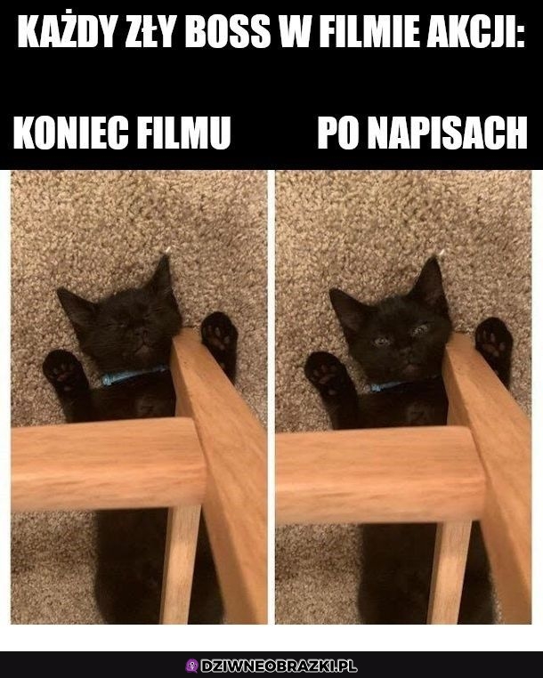 Bossowie w filmach akcji