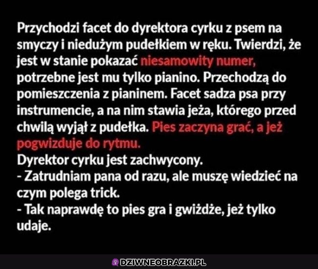 Magiczna cyrkowa sztuczka