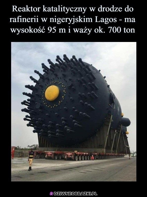 Sporawy