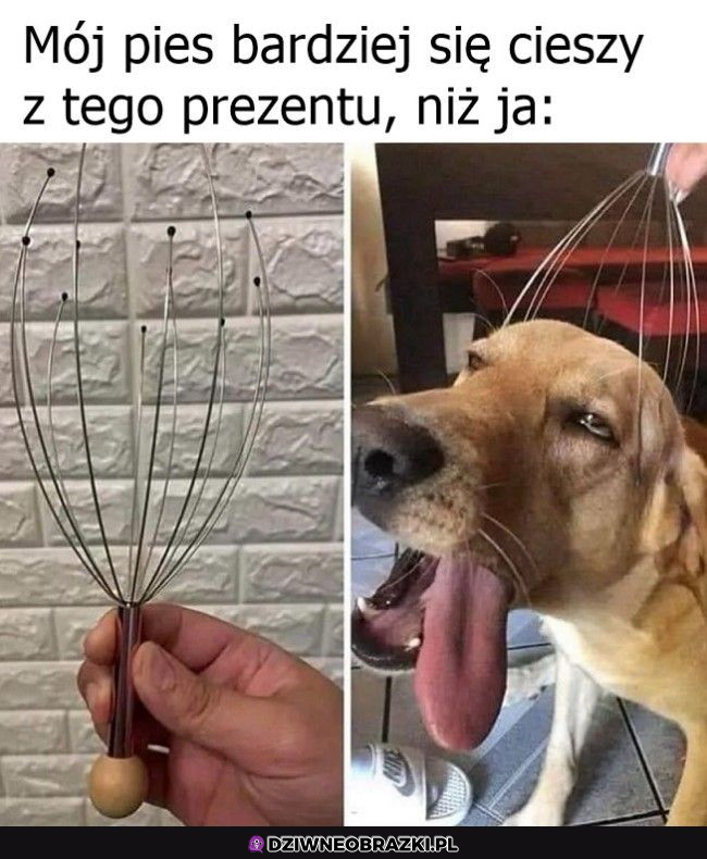 wcale mu się nie dziwie :x