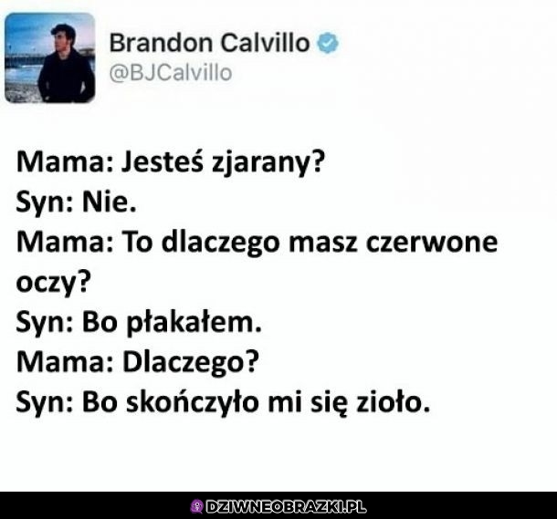 Jesteś zjarany?