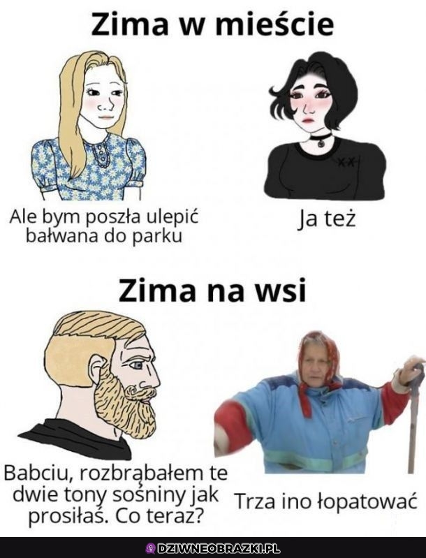 Zima taka jest