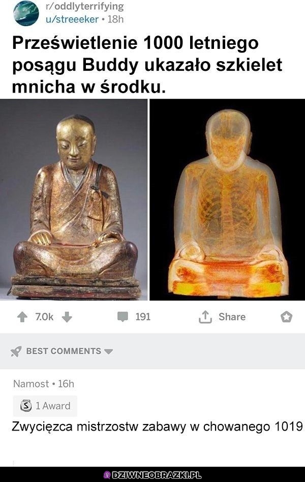 Zwycięzca