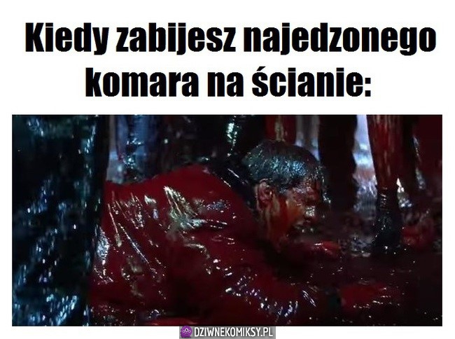 Za każdym razem