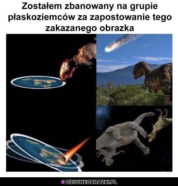 Warto było