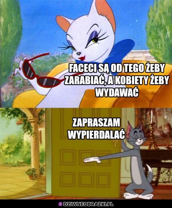 Zapraszam