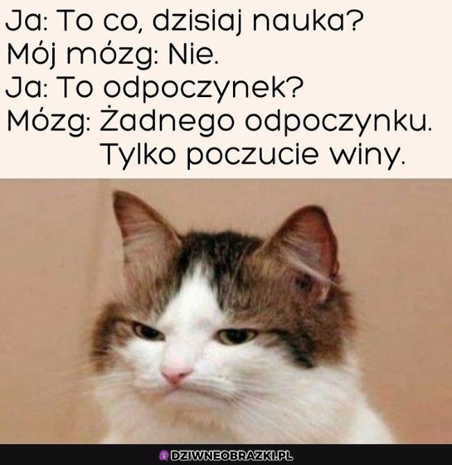 Dzięki