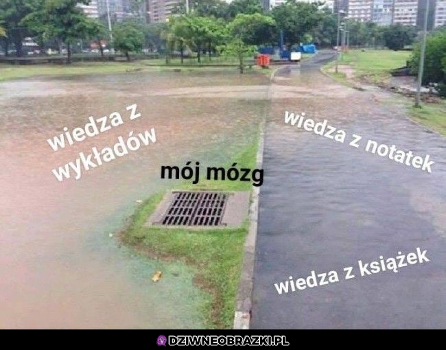 Tak to wygląda