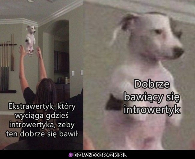 Tak to wygląda