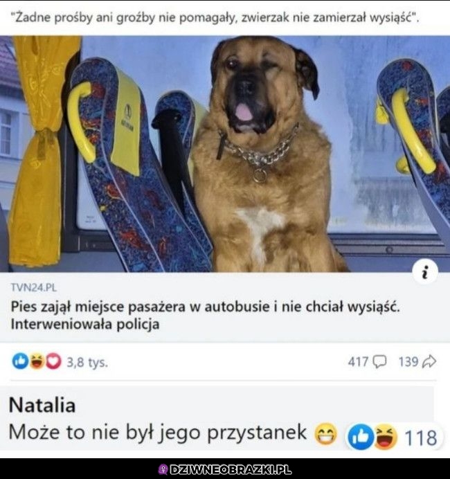 Przyczepili się