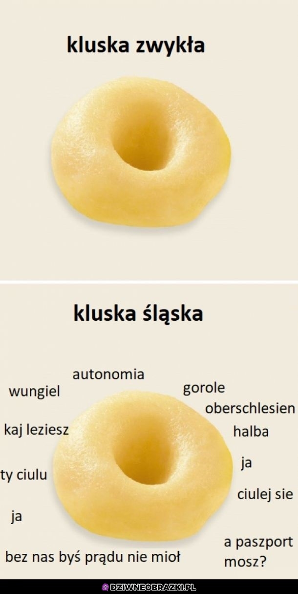 Kluska śląska