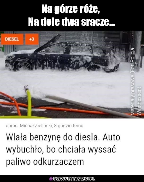 Na górze róże