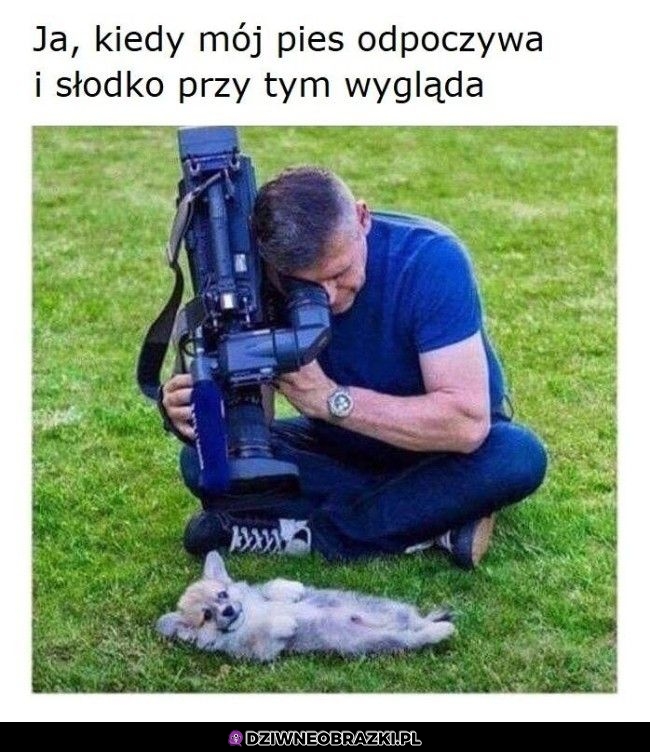 To ja