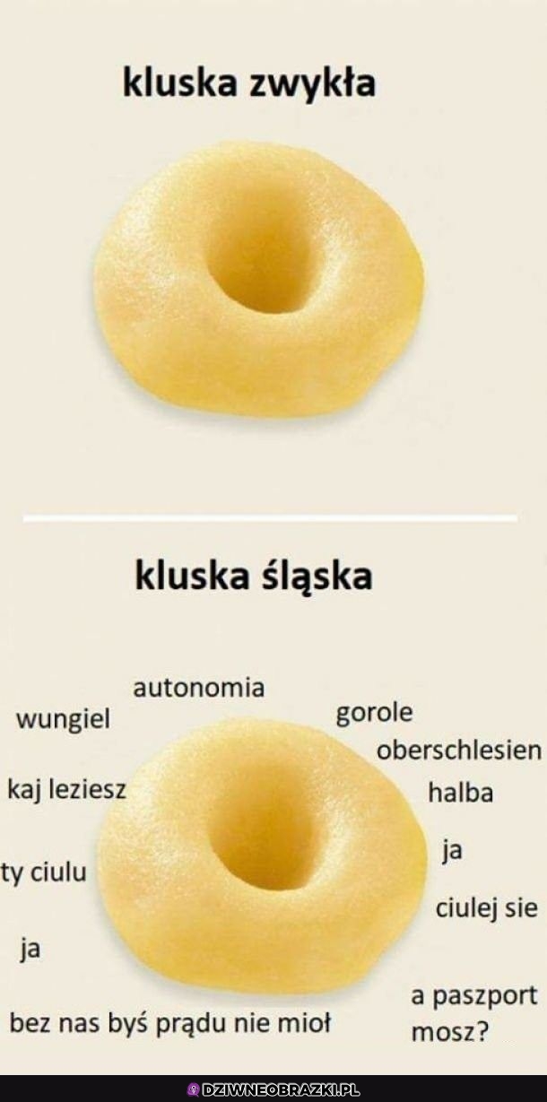 Kluska śląska