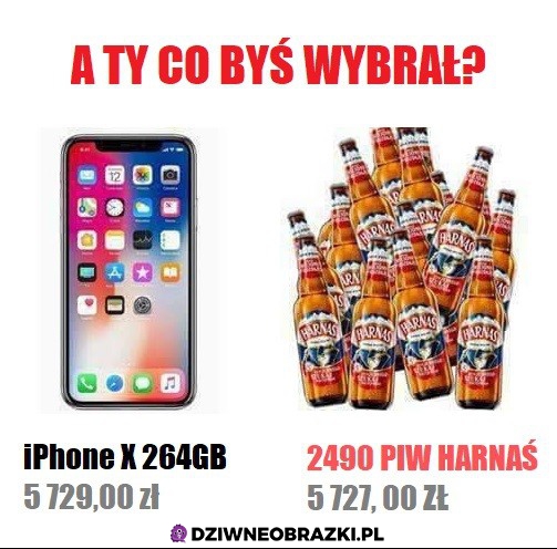 A ty co wybierasz?