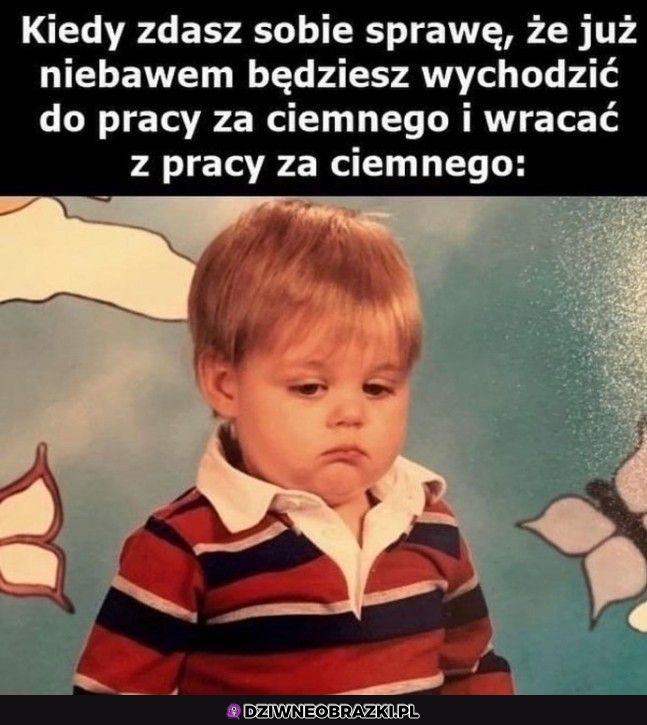 Jesień nadchodzi 