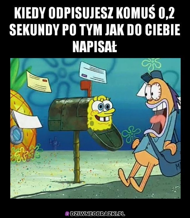 No elo