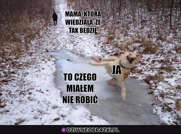 Zawsze tak jest