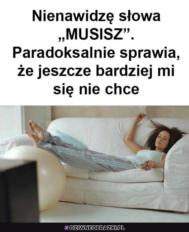 Nic nie muszę