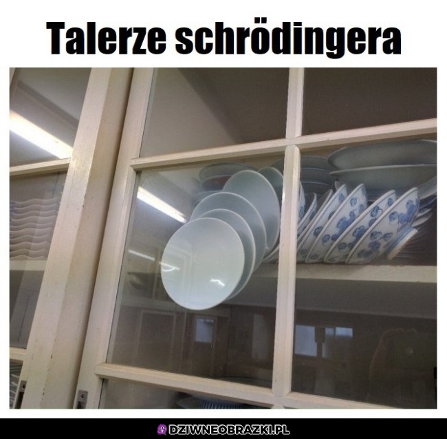 Talerze