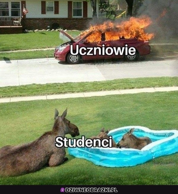 Jeszcze ich to nie dotyczy