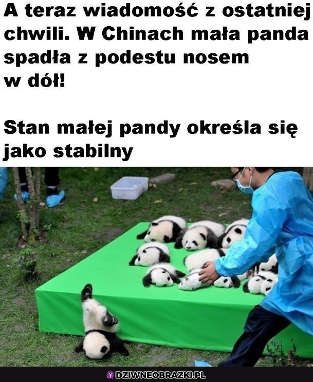Z ostatniej chwili