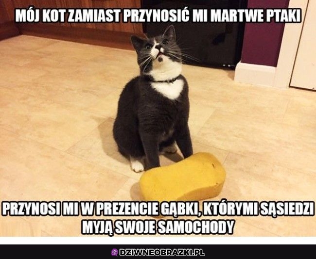 Przynajmniej nie morduje
