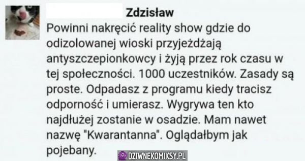 Oglądałbym