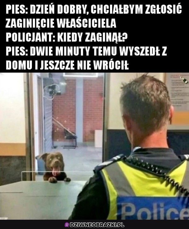 Zaginął