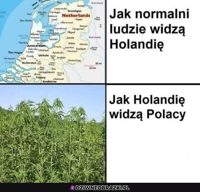 Holandia