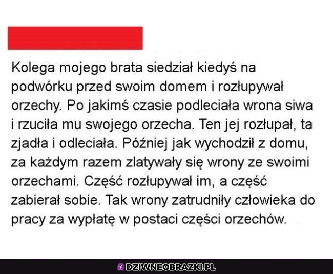 Ciekawa oferta pracy