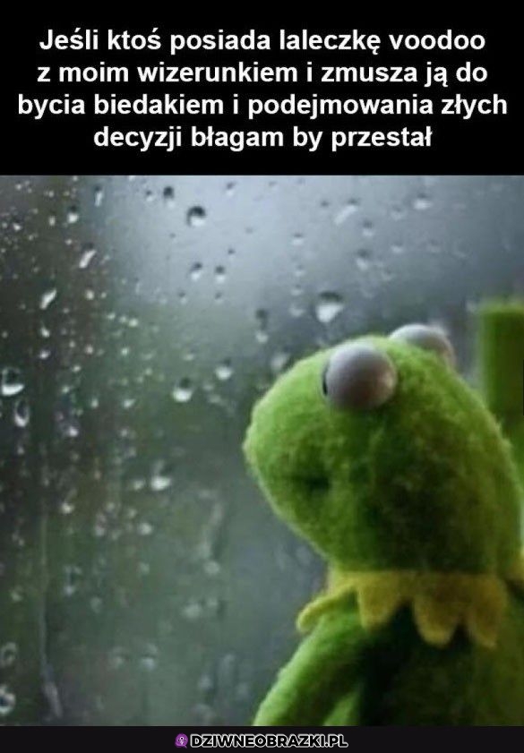 Wystarczy już
