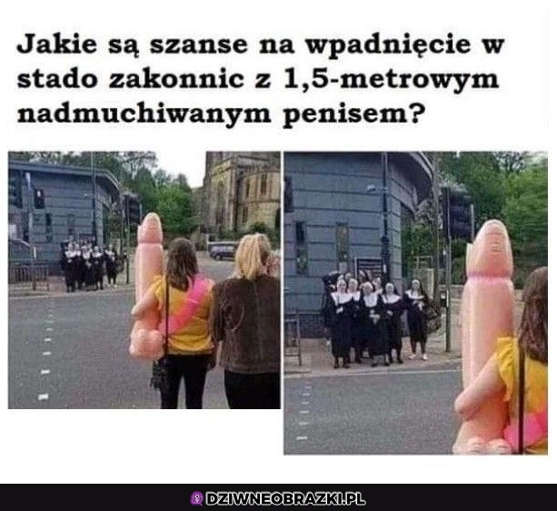 Niespodziewane spotkanie