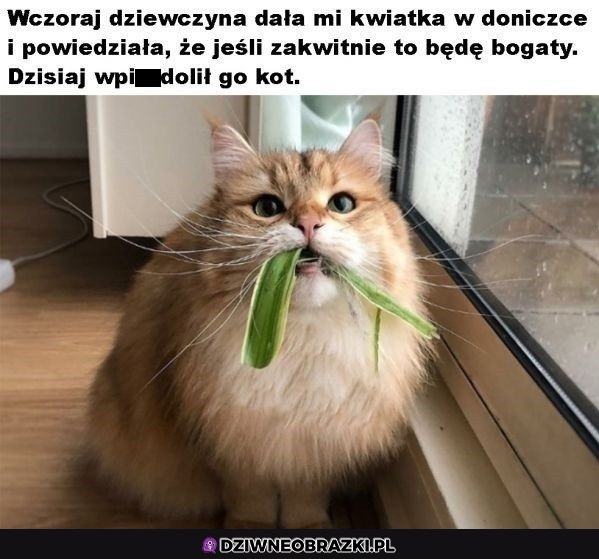 Tyle z twojego bogactwa